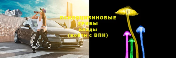 2c-b Янаул
