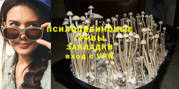 соль ск Почеп