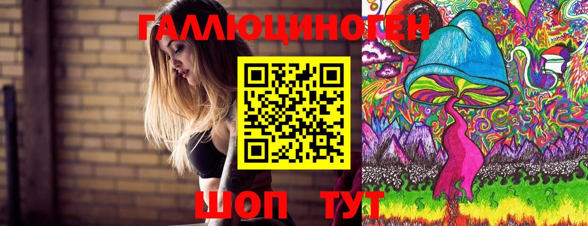 Белая Калитва  Псилоцибиновые грибы GOLDEN TEACHER  Вход с VPN  Галлюциногенные грибы MAGIC MUSHROOMS 
