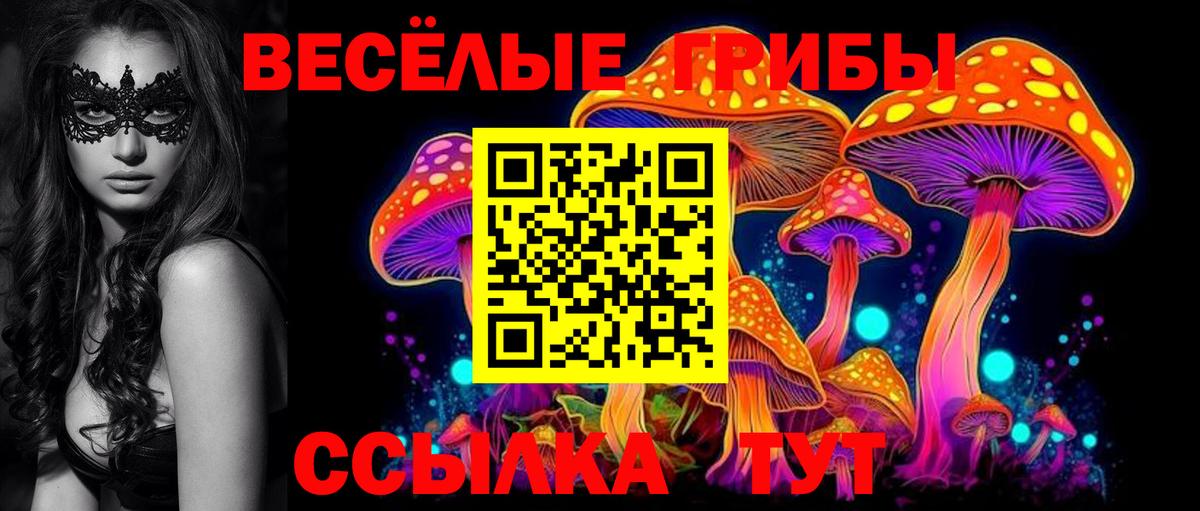 Псилоцибиновые грибы Psilocybe Белая Калитва
