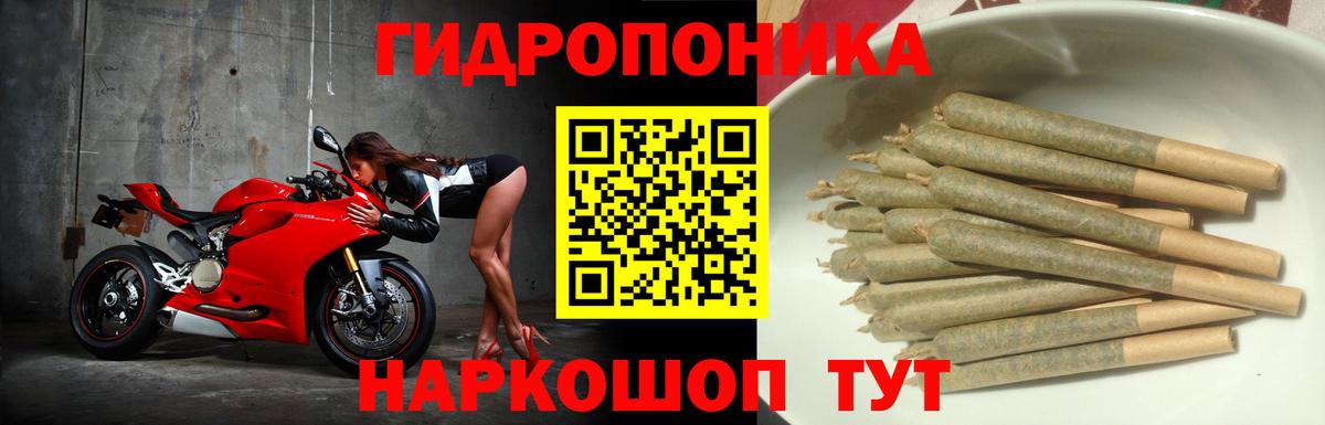 Каннабис тримм  Каннабис AK-47  Каннабис сатива  Белая Калитва  Каннабис сатива  Вход с VPN 